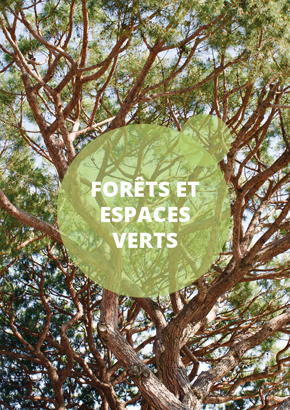 Catégorie forets et espace vert