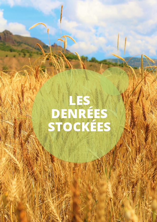 catégorie denrées stockées