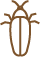 taupins