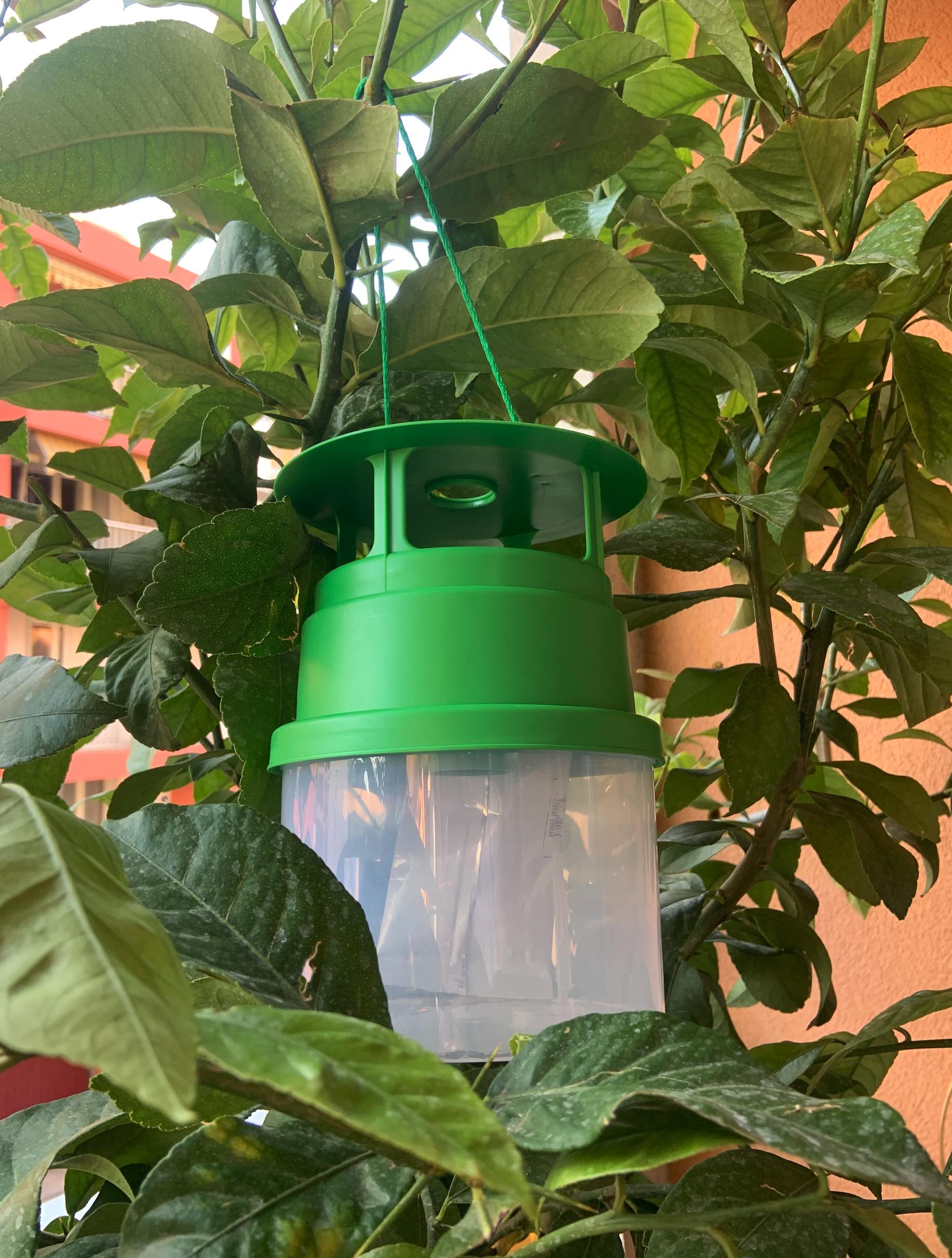 Piège Smart Trap® multi insectes