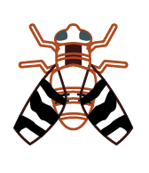 mouche-brou-bioassays
