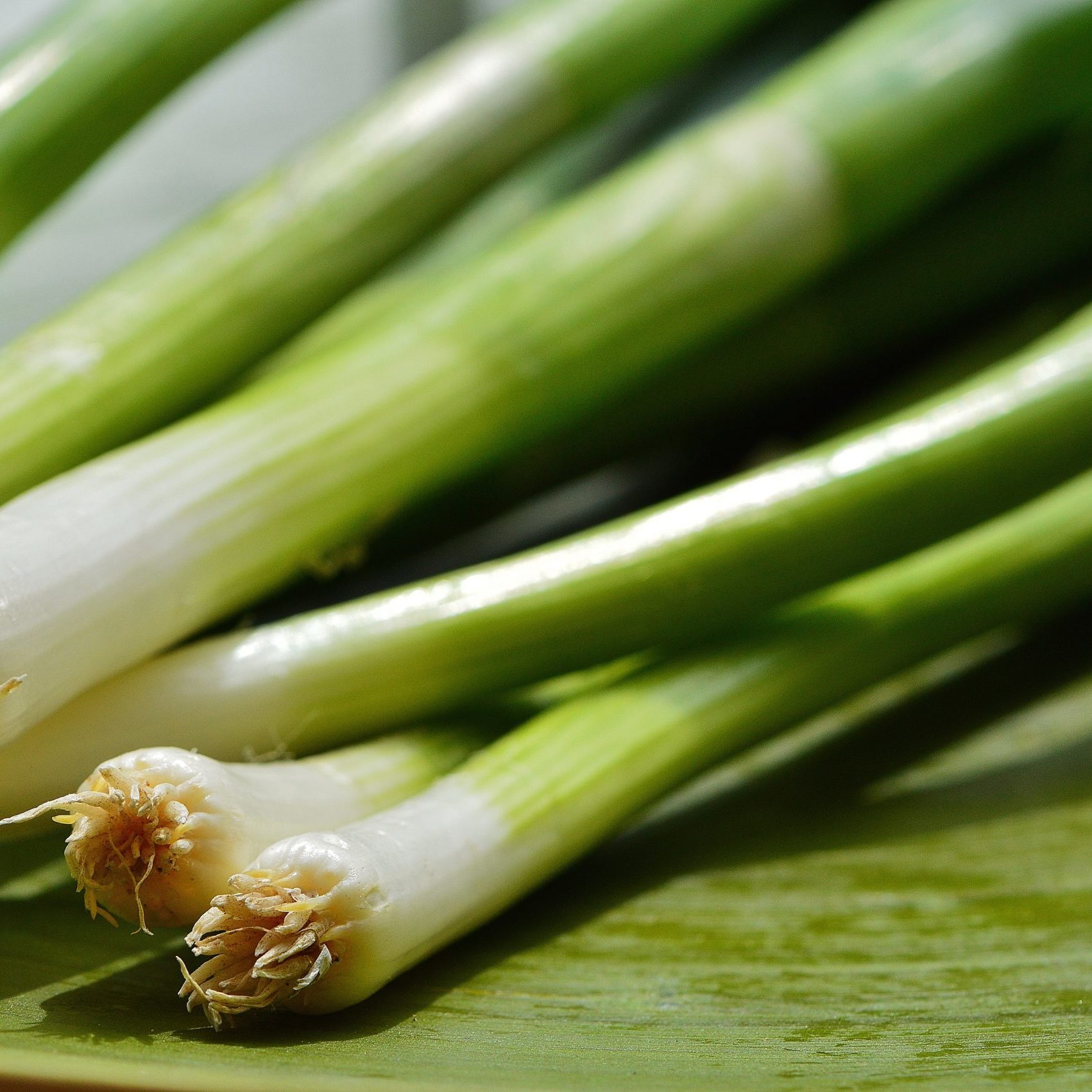 spring-onions-1303271